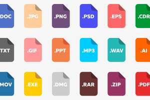 File formats