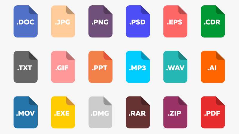 File formats